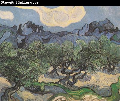 Vincent Van Gogh Olive Trees with the Alpilles in the Background (nn04)